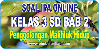 Jelajahi Dunia Kita: Daratan dan Sebaran Air di Sekitar Kita (IPA Kelas 3 SD)