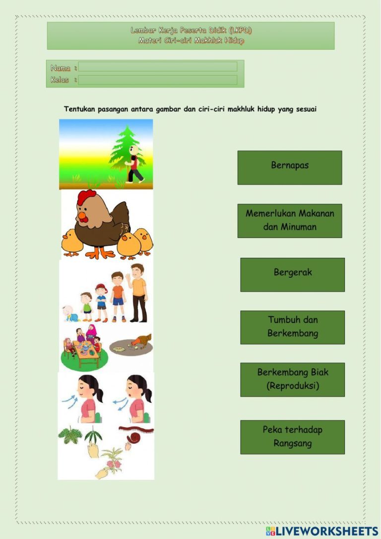 Mengenal Kehidupan di Sekitar Kita: Mengidentifikasi Ciri-Ciri Makhluk Hidup (IPA Kelas 3 SD) Mengenal Kehidupan di Sekitar Kita: Mengidentifikasi Ciri-Ciri Makhluk Hidup (IPA Kelas 3 SD)