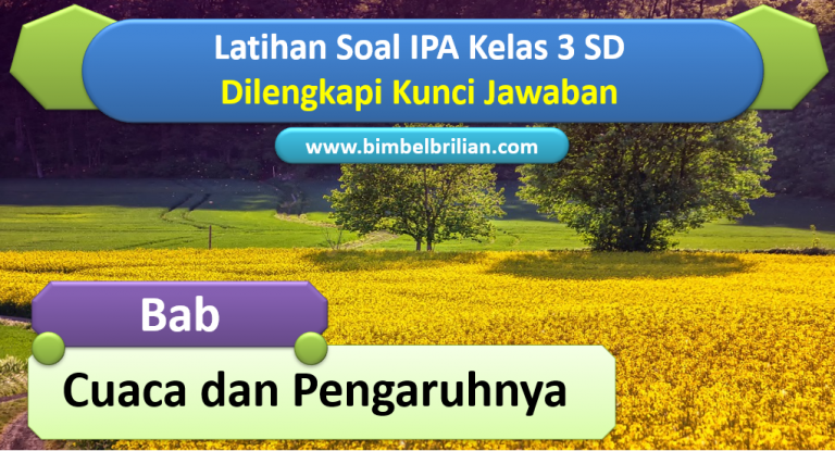 Menjelajahi Dunia Cuaca: Sahabat Setia Kehidupan Kita