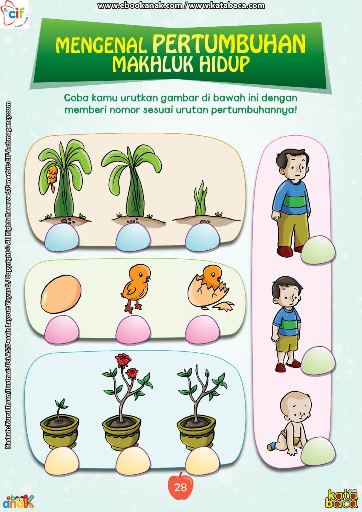 Perjalanan Menakjubkan: Pertumbuhan dan Perkembangan Makhluk Hidup