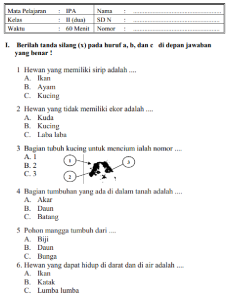 Bersiap Hadapi Penilaian Akhir Semester 1 Panduan Lengkap Contoh Soal