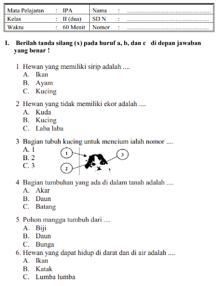 3 Rahasia Jadwal Piala Dunia 2026 untuk Kuasai Soal PAS Kelas 2 Semester 1