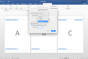 Cara Membuat Halaman dengan Nomor Romawi dan Angka di Microsoft Word